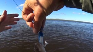 Рыбалка на джиг с отводным. Окунь в автоклаве Малиновка 3.