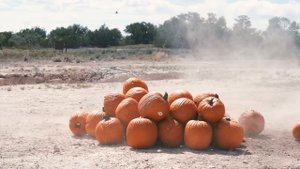 Советский ДШК | Разрушительное ранчо