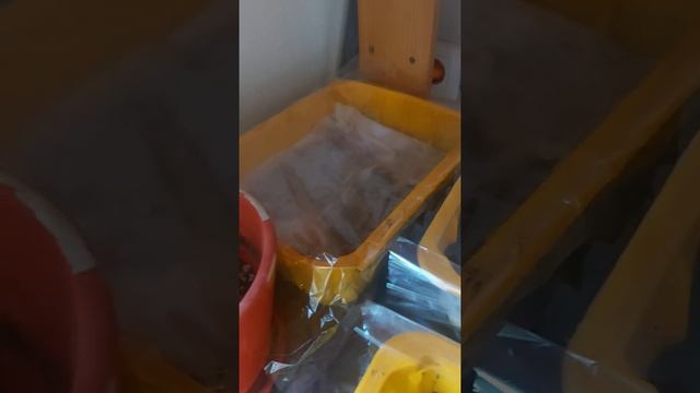 Начало посевного сезона смотреть онлайн