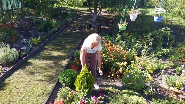 Клумбы вдоль дома  Что посадить перед домом