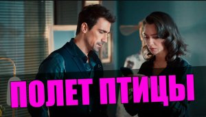 Турецкий сериал Полет Птицы. Лучшие моменты