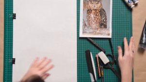 Что такое диатипия и как с ней работать