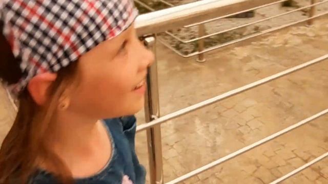 Обзор Сочи Парк смотреть онлайн