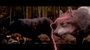 Горные ведьмы