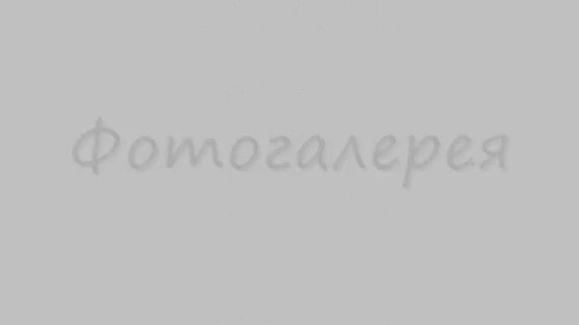 Русский охотничьий спаниель. 
