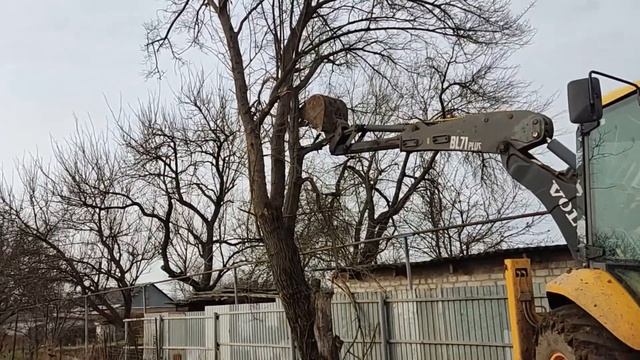 Почему так дорого? Как убрать большое дерево и пни ЭКСКАВАТОРОМ? Готовим место под строительство смотреть онлайн