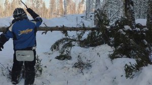 Снегоход LYNX 59 RANGER 600 ACE обкатка расход мачете FISKARS выручает