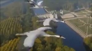 Журавли Песня
