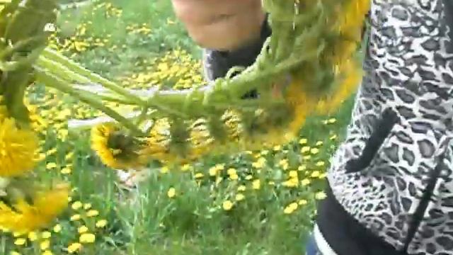 Одуванчики смотреть онлайн