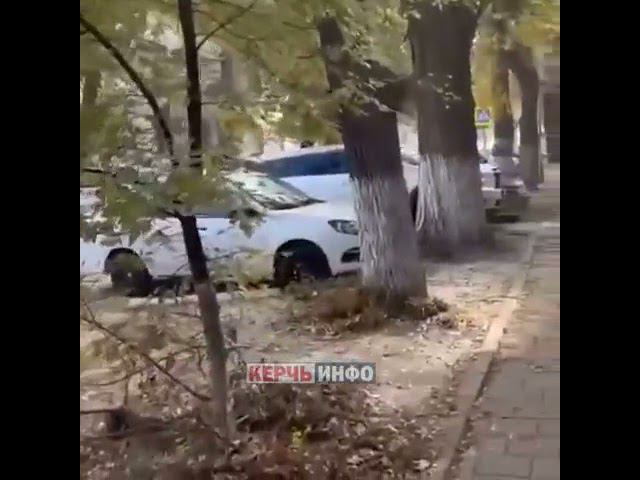 Керчь ИНФО Грязь, мусор и ветки керчане жалуются на состояние центра города смотреть онлайн