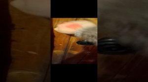 Глазами ребёнка 5 серия