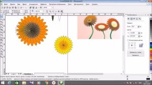 как быстро нарисовать цветок в coreldraw