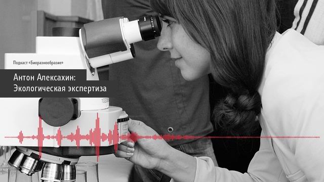 Антон Алексахин: Экологическая экспертиза