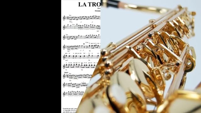 LA TROTTOLA mazurka per sax e fisarmonica смотреть онлайн