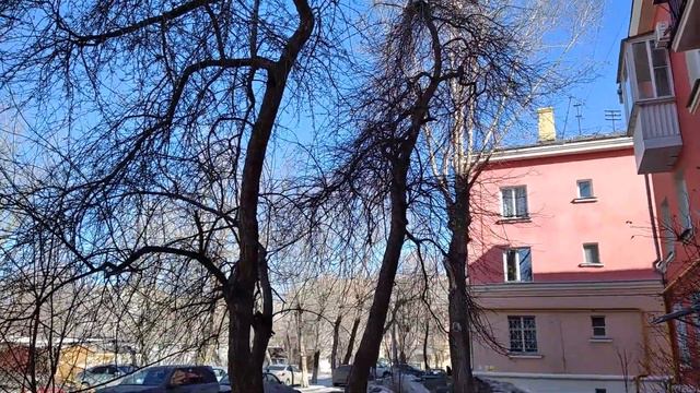 Варварская обрезка деревьев в Челябинске