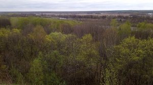 место Гандарейка с. Окшово Владимирская обл май 2021г.mp4