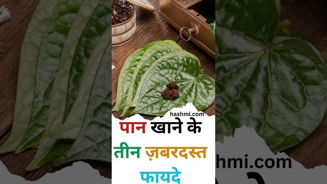 Three amazing benefits of eating betel leaves