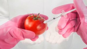 Как распознать ГМО в продуктах, надпись 100% organic или без гмо, что выбрать?