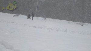 Идеальное давление для ловли окуня зимой какое оно? Все о давлении и его влияние на клев окуня зимо