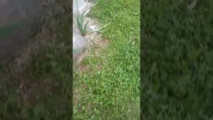 Краска из пенопласта для бетона своими руками подходит для пола гаража Foam paint for concrete