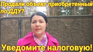 Какой отчёт нужно подать в налоговую при продаже квартиры купленной по ДДУ? Ответ!