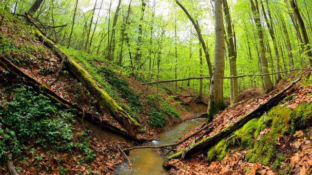 The Best Music with Nature Videos - The Best of Vivaldi - The Four Seasons - Violin смотреть онлайн