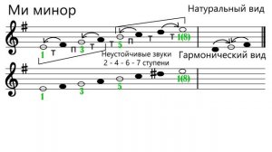 Гамма ми минор - как построить гамму ми минор