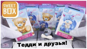 Обзор ★Тедди и друзья ★ Sweet BOX | Tatty Teddy & my Blue Nose friends | Свит Бокс