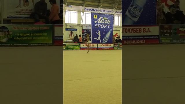 Андрусенко Алиса 2017 художественная гимнастика. смотреть онлайн