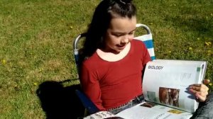 Create your  Grammar: What did you do yesterday?