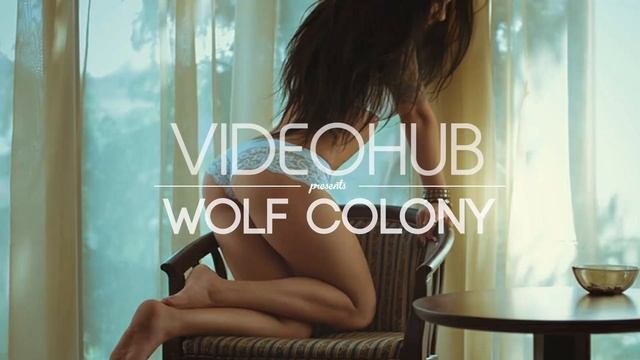 Wolf Colony  - Forgiven (Millesim Remix)