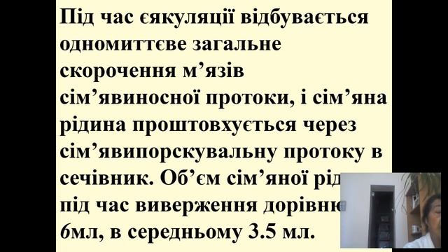 Анатомія статевих систем