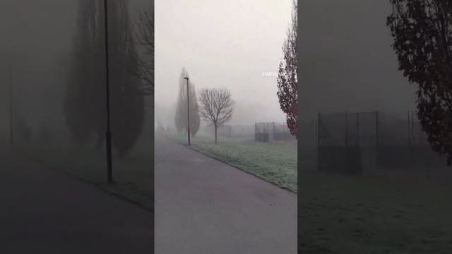 Silent Hill Fog at the Park