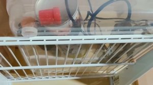 Как сделать крутое рабочее место в гараже? Идеальный верстак в мастерской.