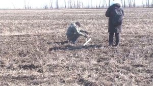 Борона БМШ 15 на Алтайской МИС 2021 г