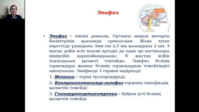 Ішкі секреция бездері мен гормондар. Жасқа сай ерекшеліктері.