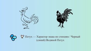 Петух — Характер знака по стихиям / Черный (синий) Водяной Петух ? ? | Китайский гороскоп