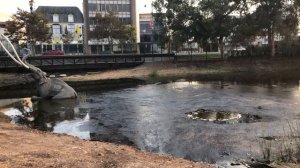 Paleontology & the Treasures of La Brea Tar Pits and the Natural History Museum of Los Angeles