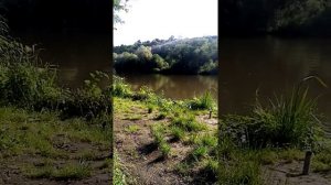 Рыбалка на реке. Рыбалка на мини бойлы летом.