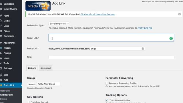 Use This Wordpress Plugin To Make Your Affiliate URL Links Look Pretty смотреть онлайн