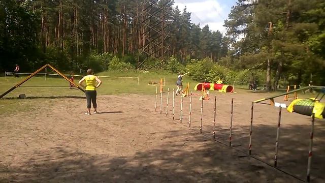AFA National Agility Competition A1 #2 смотреть онлайн