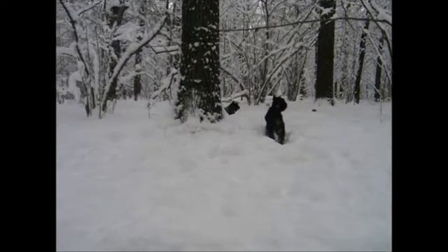 Зимняя сказка смотреть онлайн