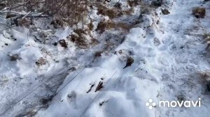 Ловля белопоясого клеста, щура