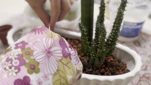 №56. Мини сад #1. Композиция из кактусов и суккулентов в кашпо-лодочка.