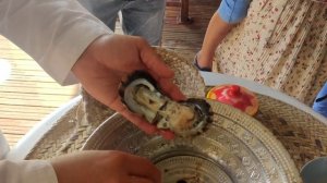 Suwaidi Pearl Farm | Cultured pearl farm in Ras al khaimah | Arabian Pearls