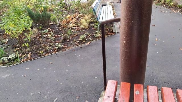 ЗАПОРОЖЬЕ НИЧЕГО СЕБЕ ТАК И ЖИВЕМ!!! 26.10.23 смотреть онлайн