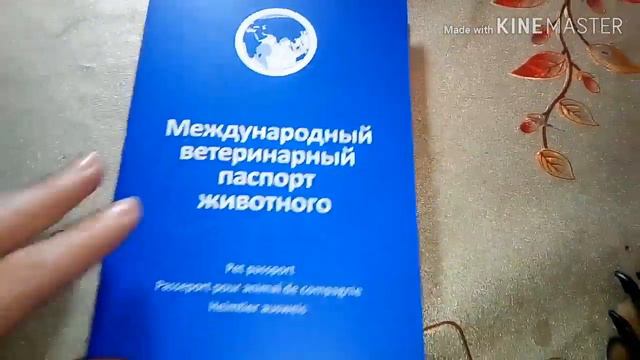 Мои питомцы //Даниэль//Леди ди Диана смотреть онлайн