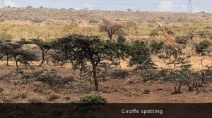 Running in Ngong Hills