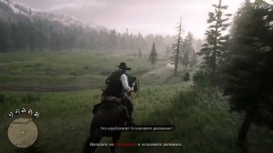 Red Dead Redemption 2 Ограбление Дилижанса