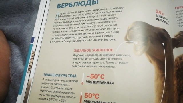 Сказки на ночь. ВЛОГ Аленки и Софии /ALENE смотреть онлайн